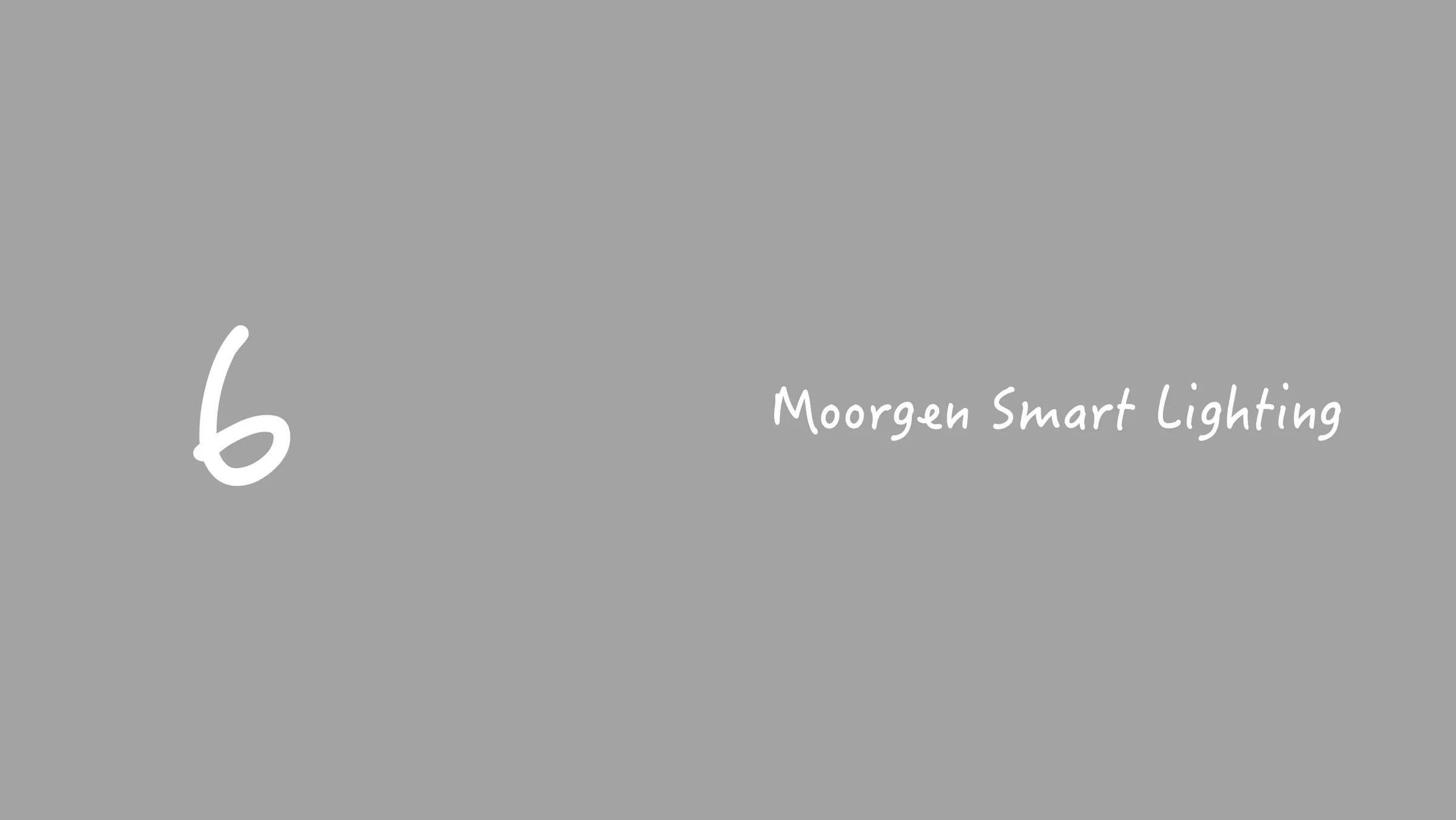 MOORGEN-SMART LIGHTING